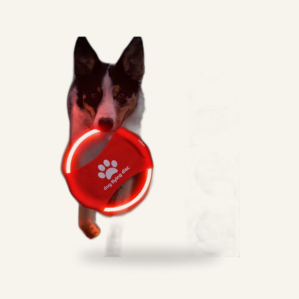 LED Flying Disc