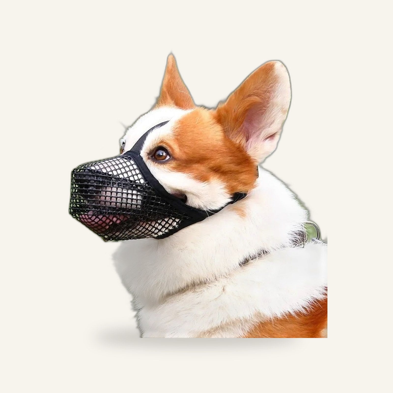 Mesh Muzzle