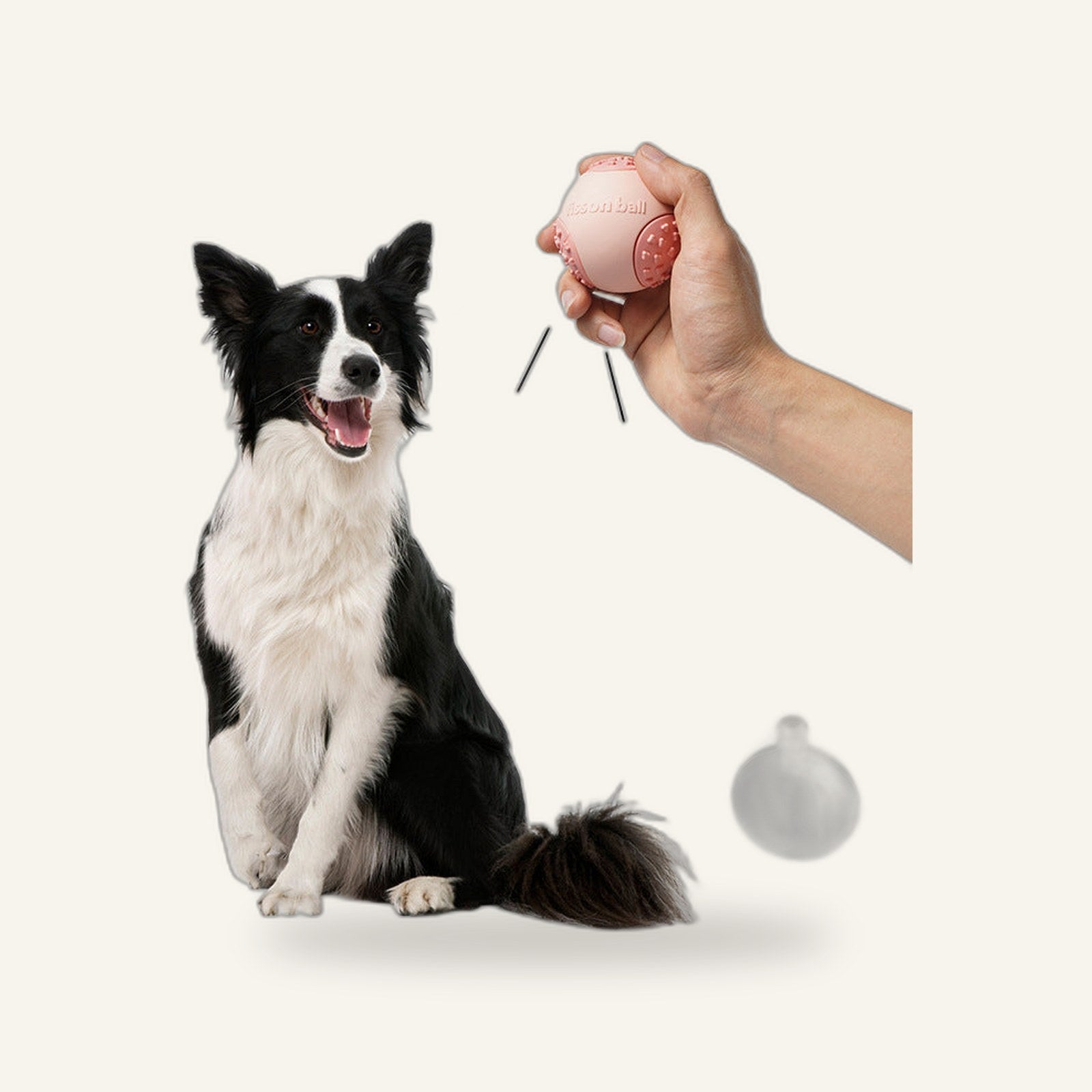 Motion Dog Ball