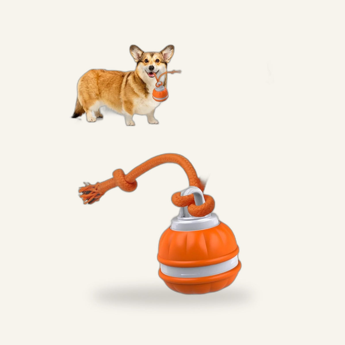 Motion Puppy Ball