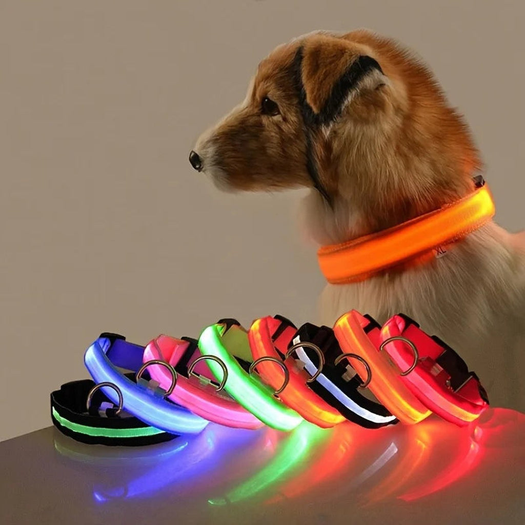LED Glow Collar