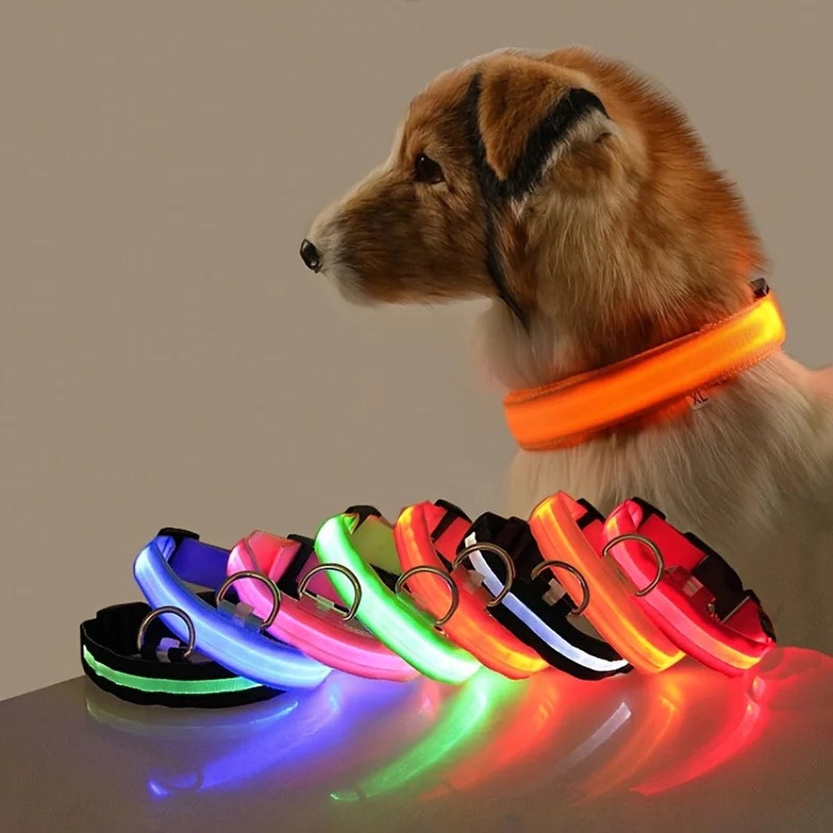 LED Glow Collar