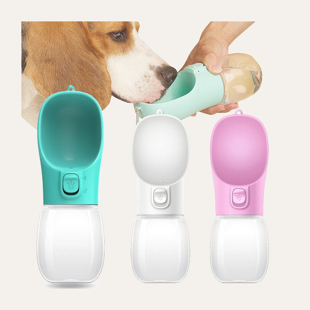Travel Water Bottle