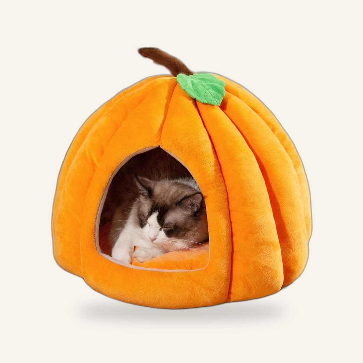Pumpkin Pet Bed