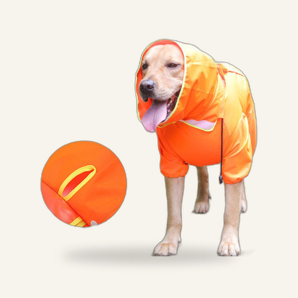 Reflective Rain Poncho