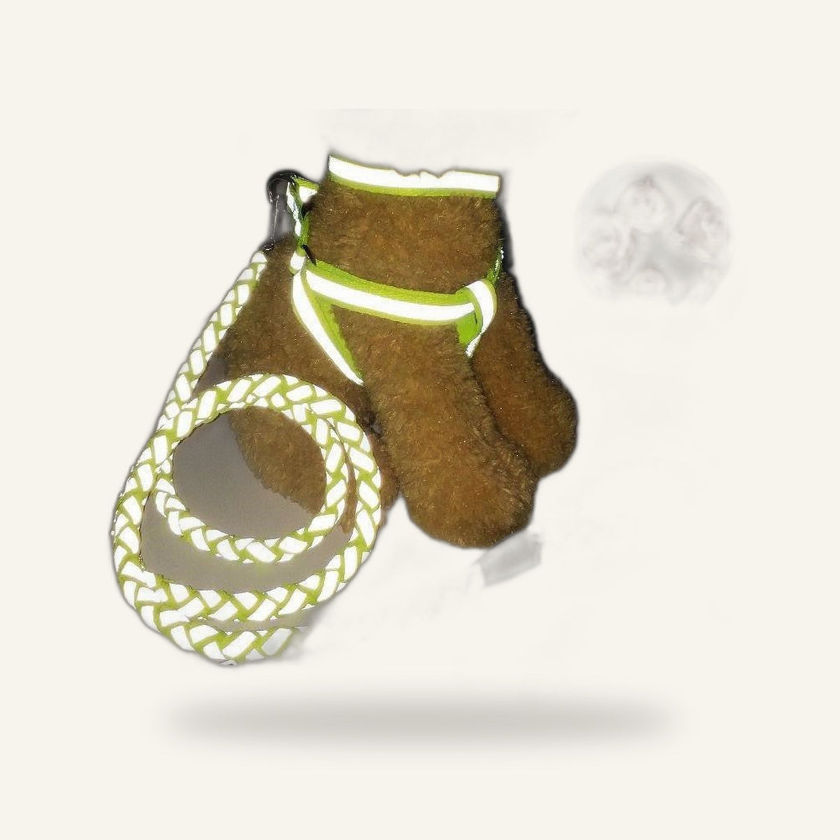 Reflective Rope Leash