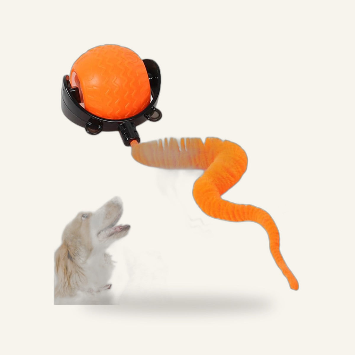 Rolling Mouse Ball