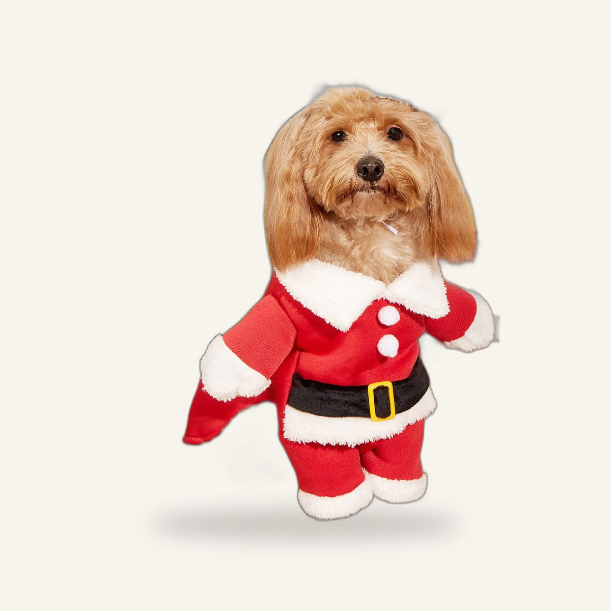 Santa Dog Costume