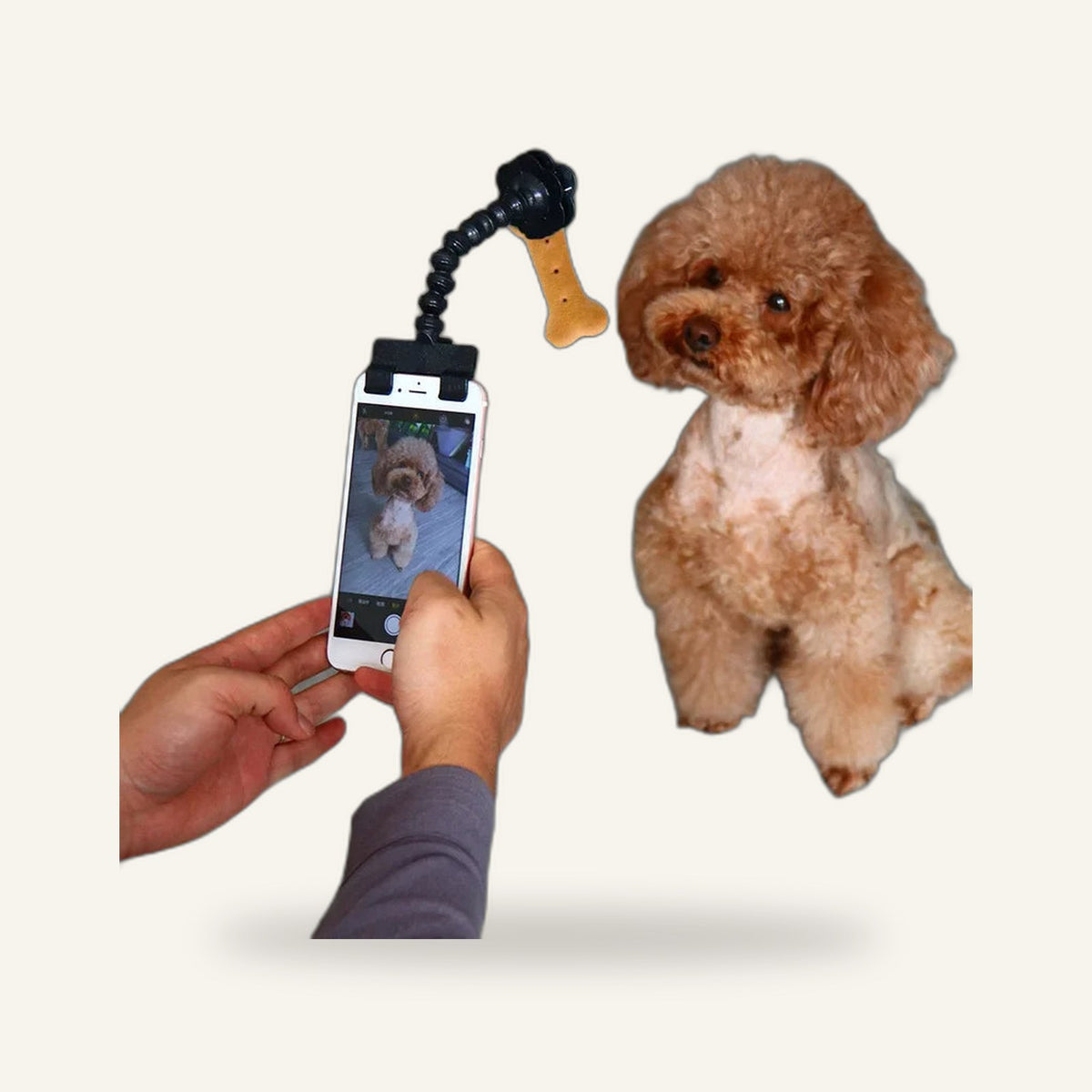 Selfie Treat Clip