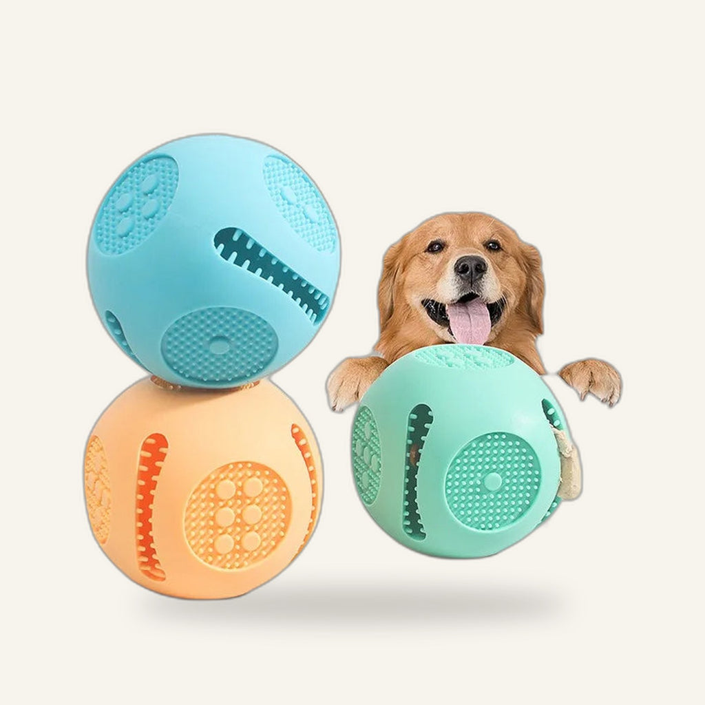 Silicone Treat Toy