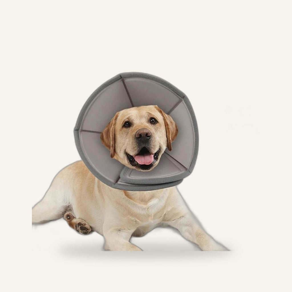 Soft Recovery Cone