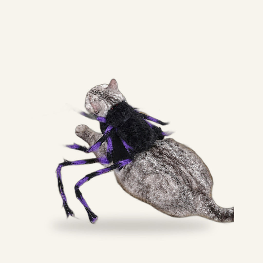 Spider Costume