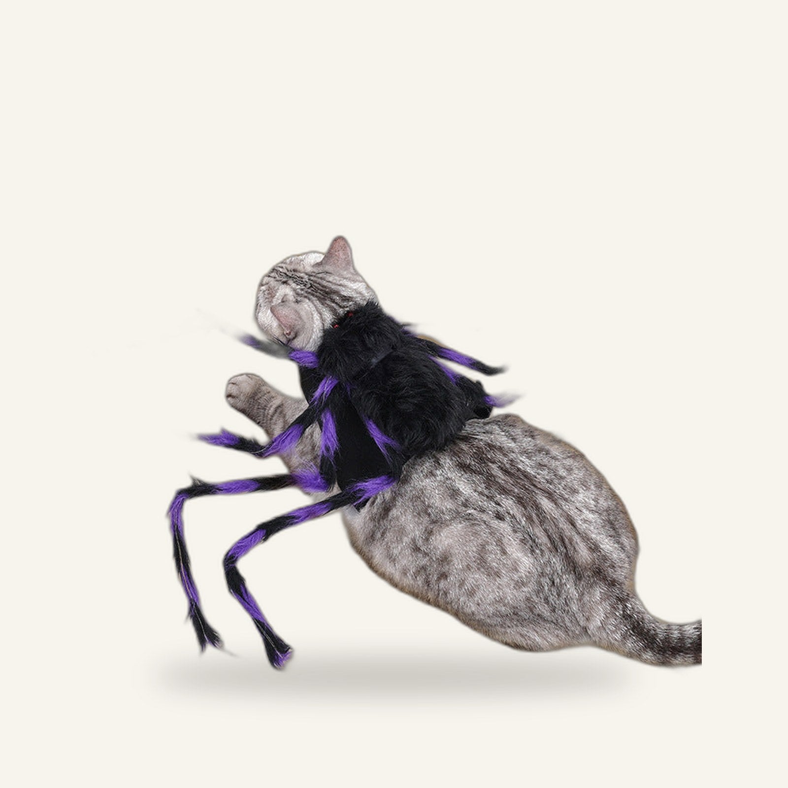 Spider Costume