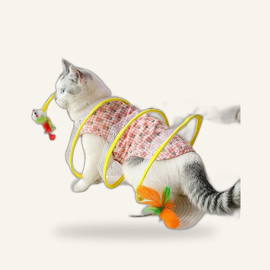 Spring Cat Tunnel