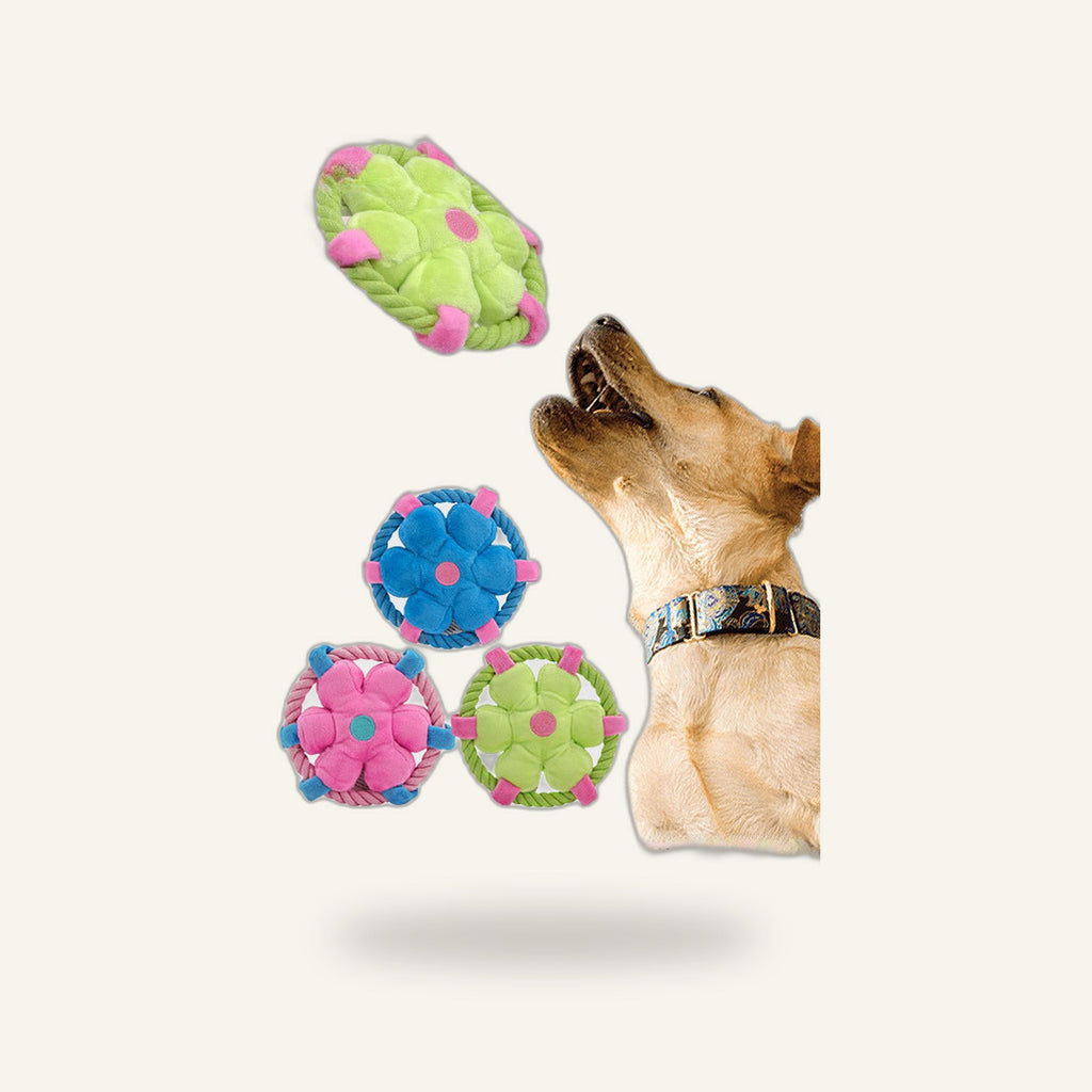 Squeaky Animal Chew