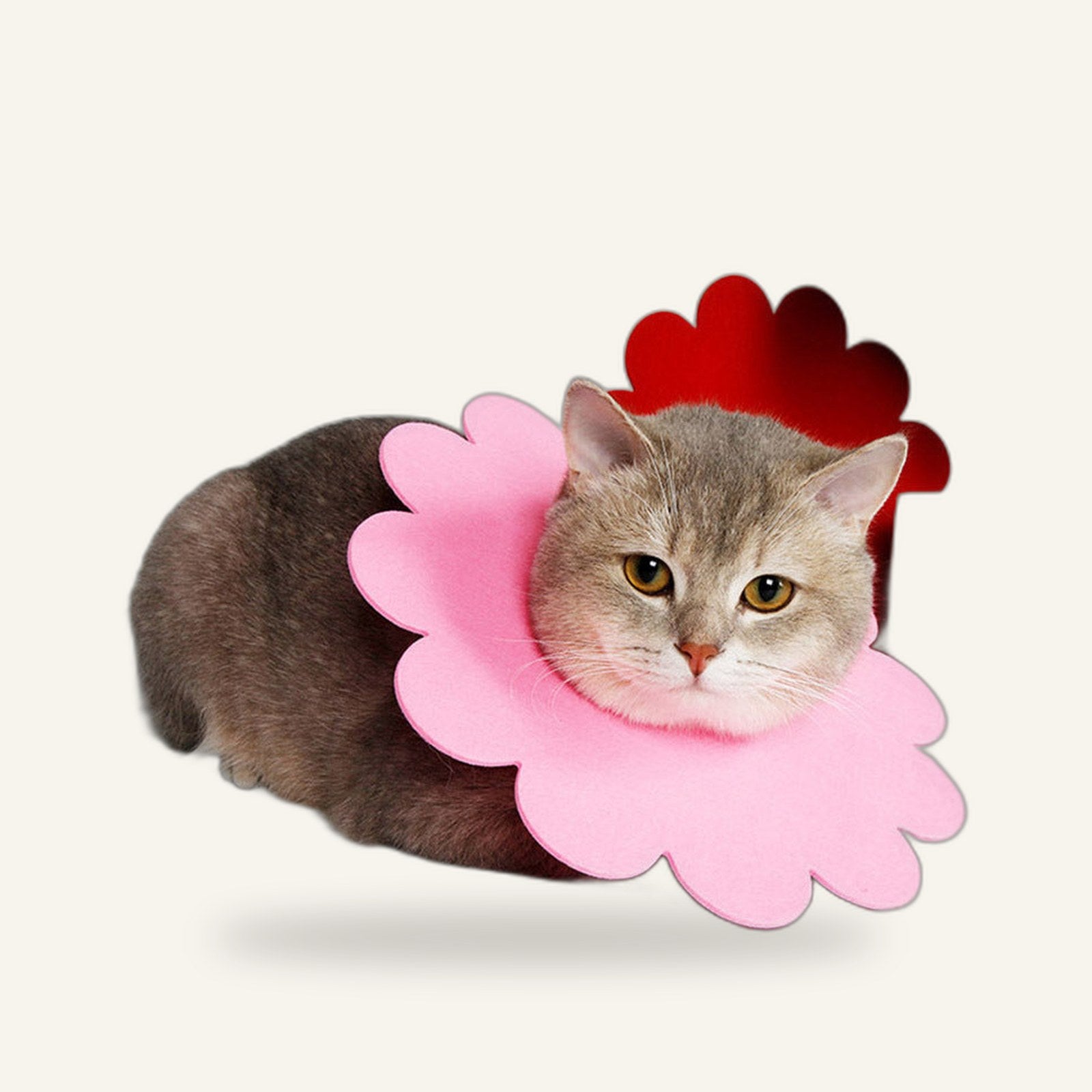 Sunflower Recovery Collar