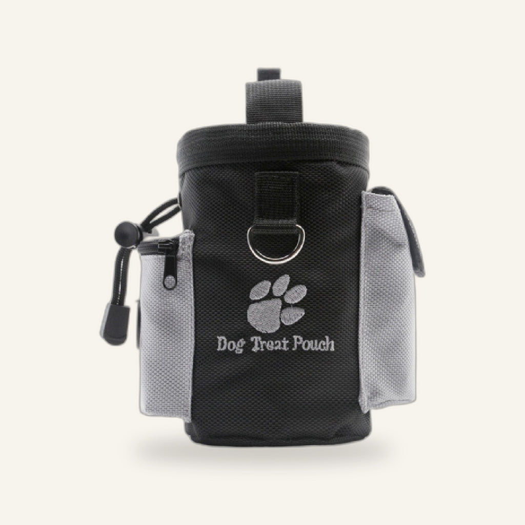Treat Training Pouch