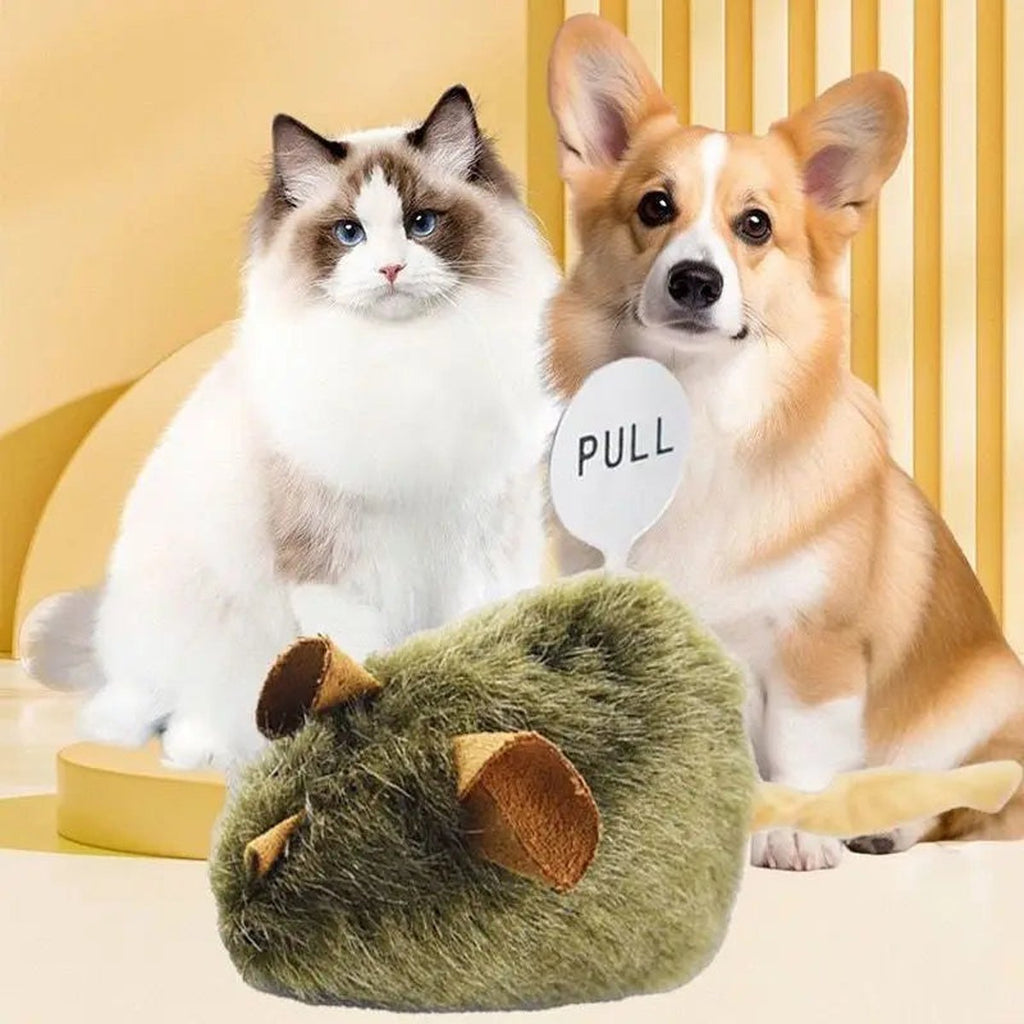 Squeaky Mouse Pack