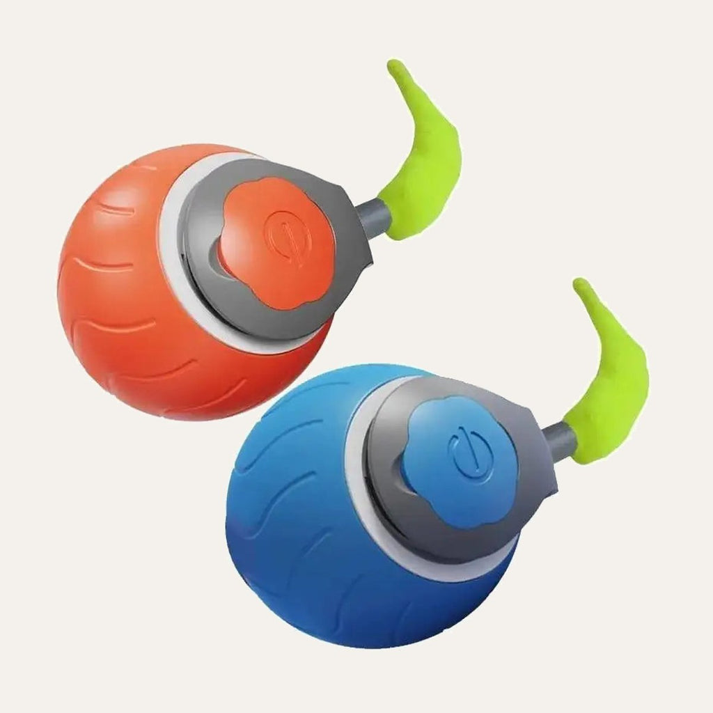 Tail Chaser Ball