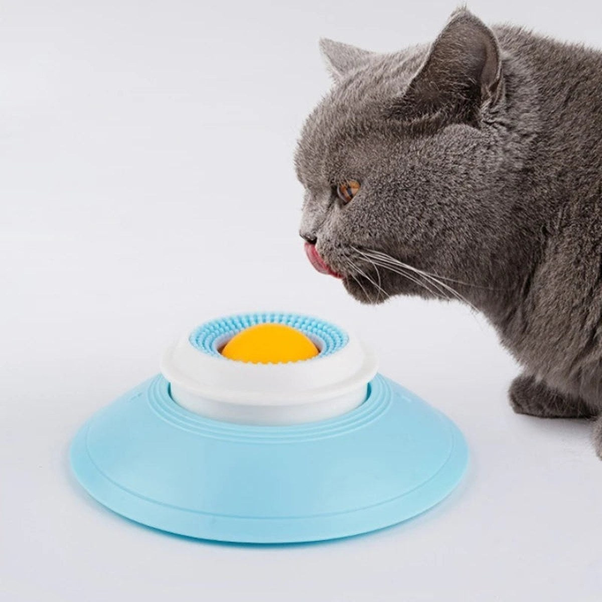 Lick & Slow Bowl