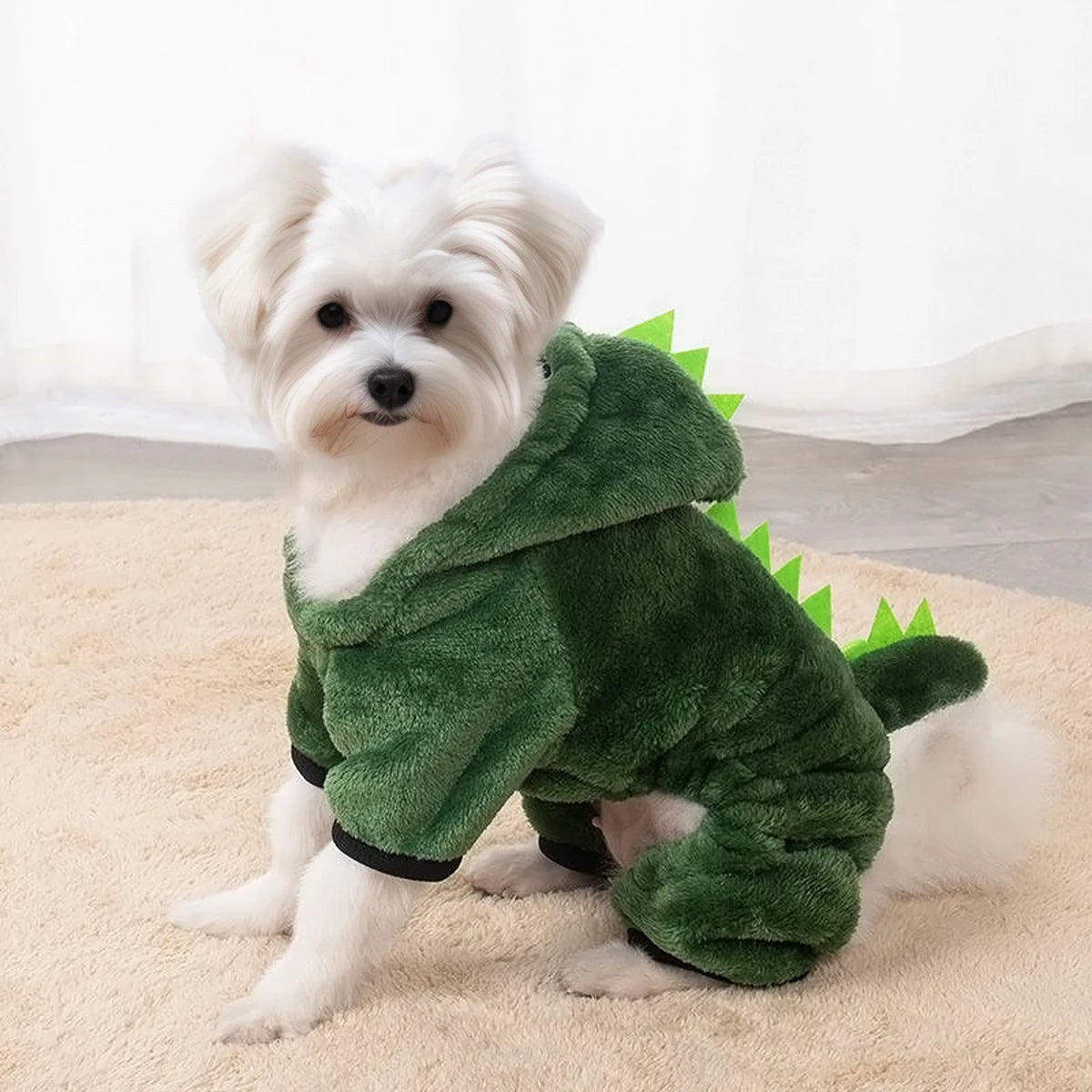Dino Costume