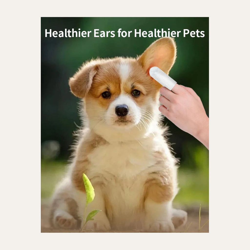 Ear Care Wipes