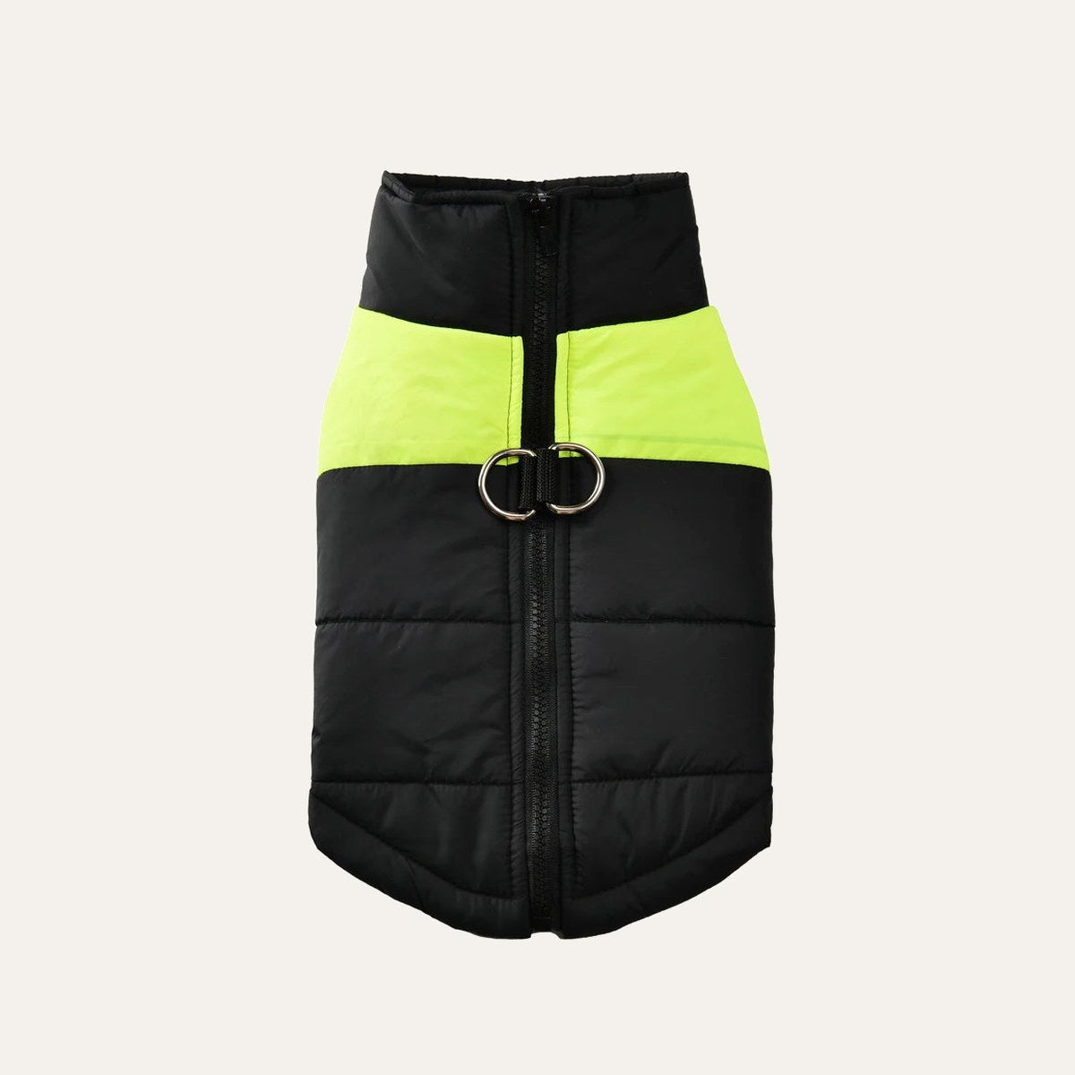 Winter Jacket