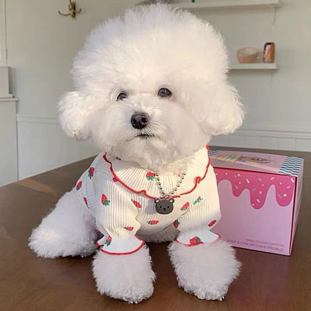 Strawberry Outfit