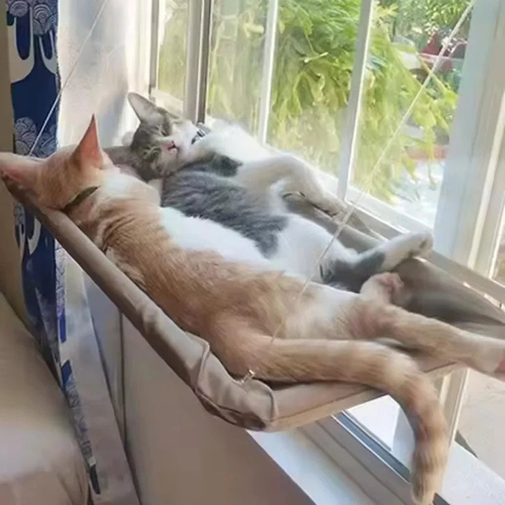 Window Hammock