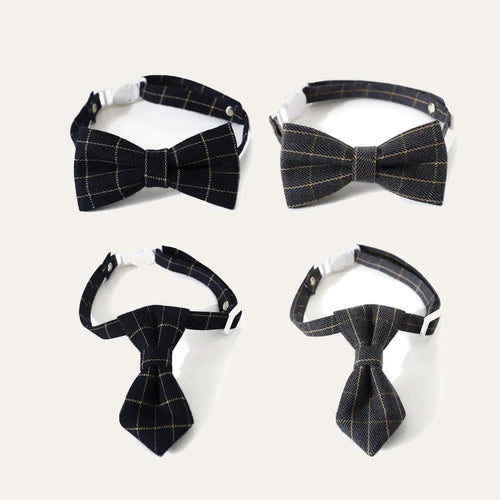 Cat Collar