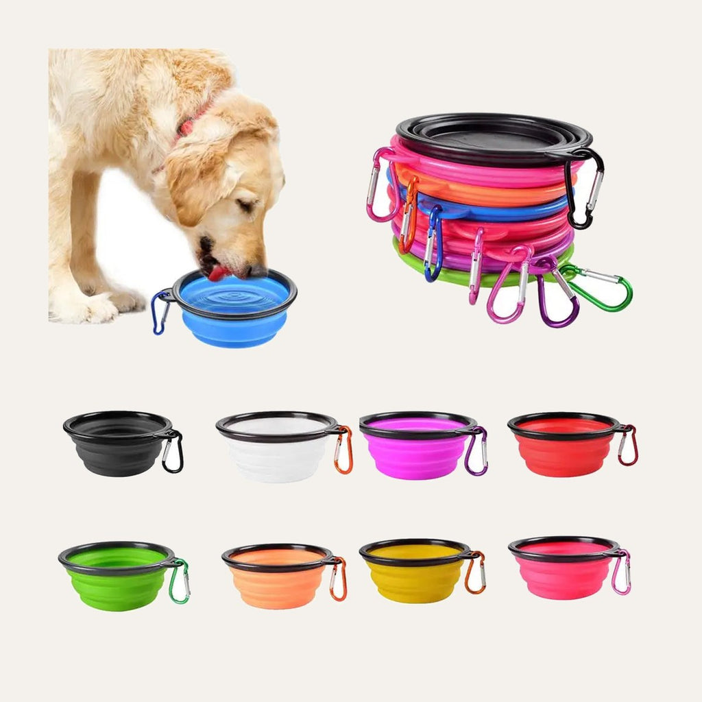 Foldable Travel Bowl