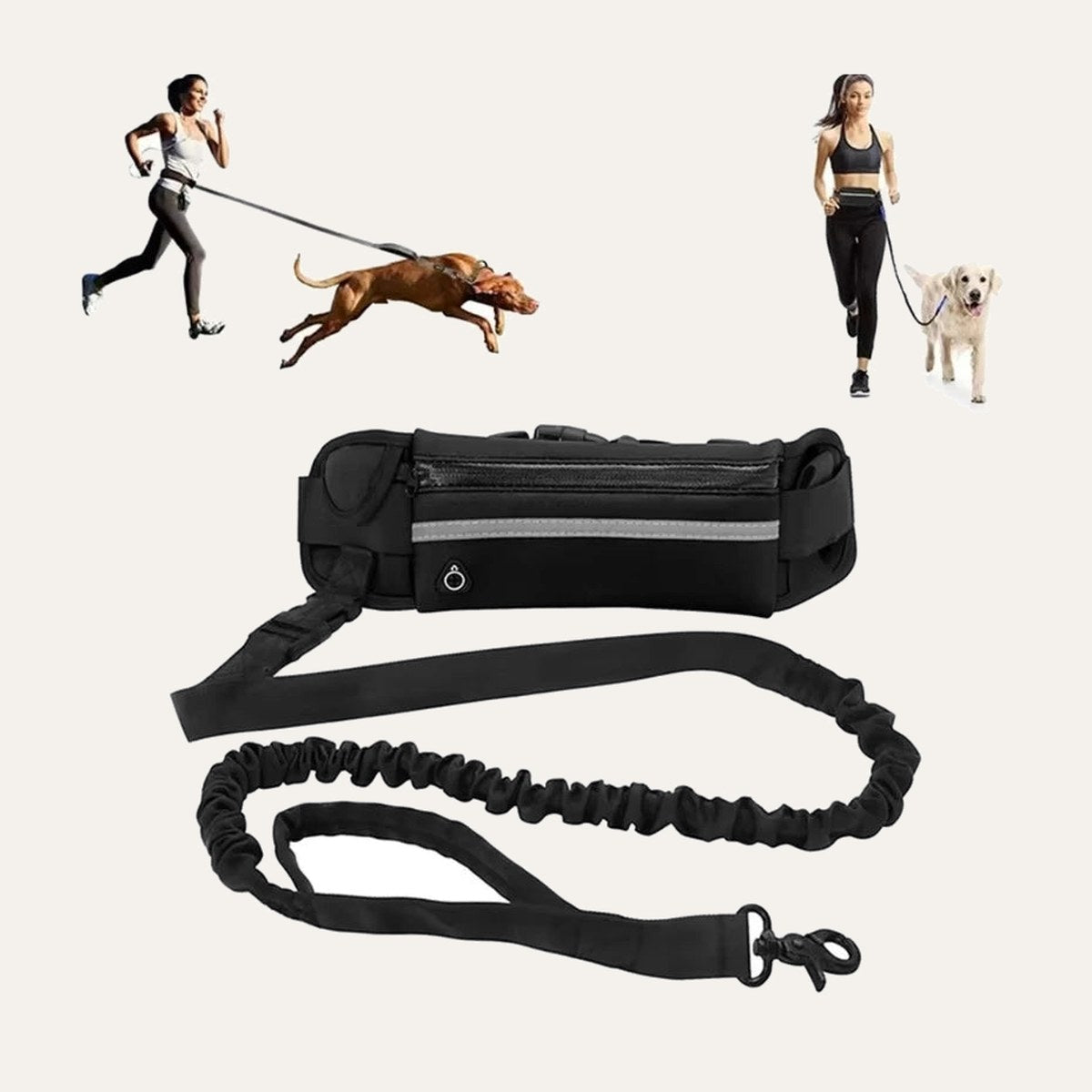 Hands-Free Leash