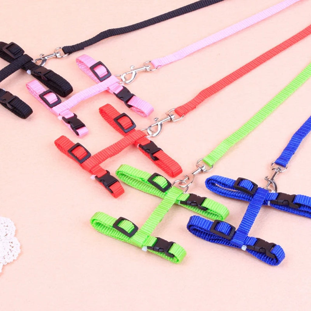 Cat Harness Set