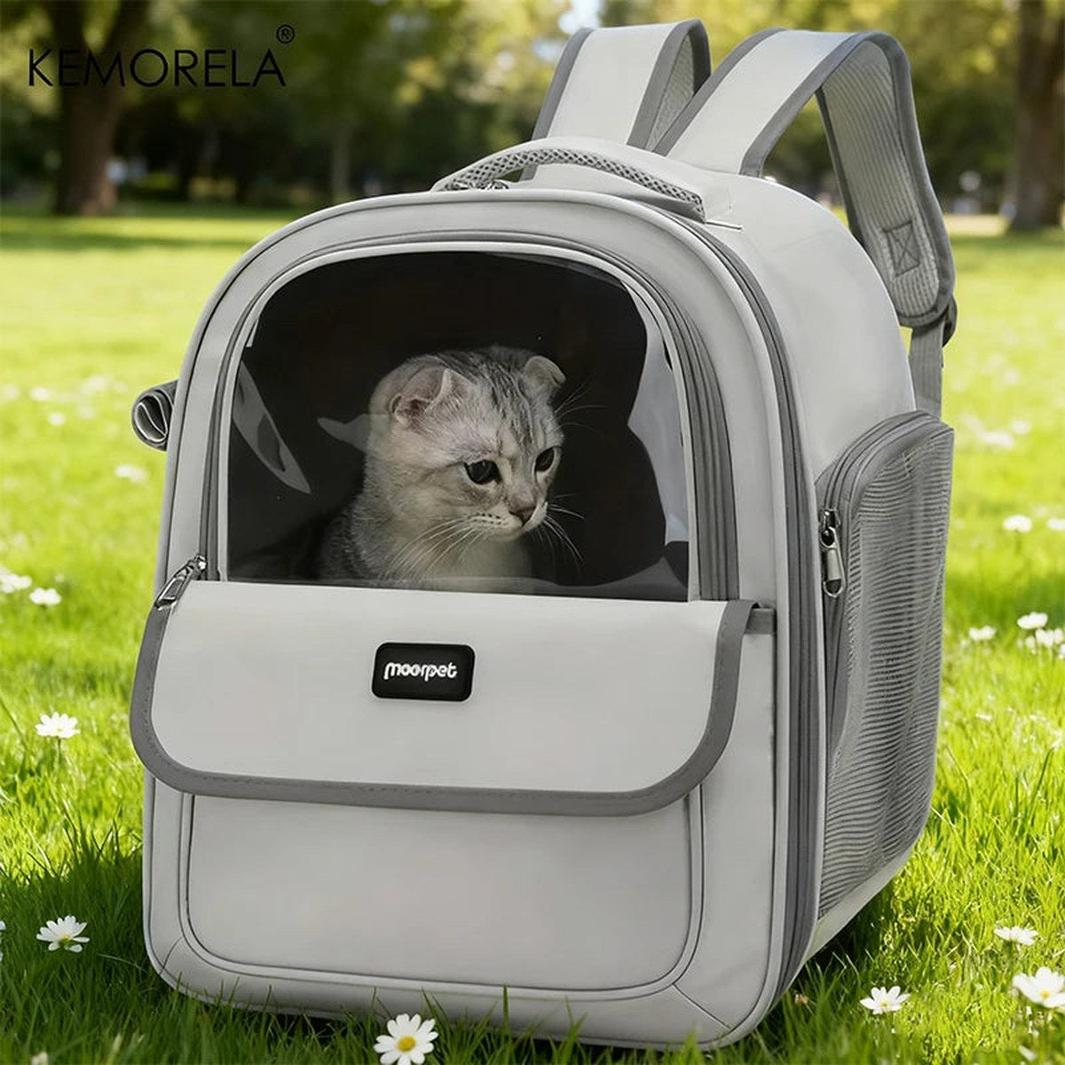 Mesh Carrier Backpack