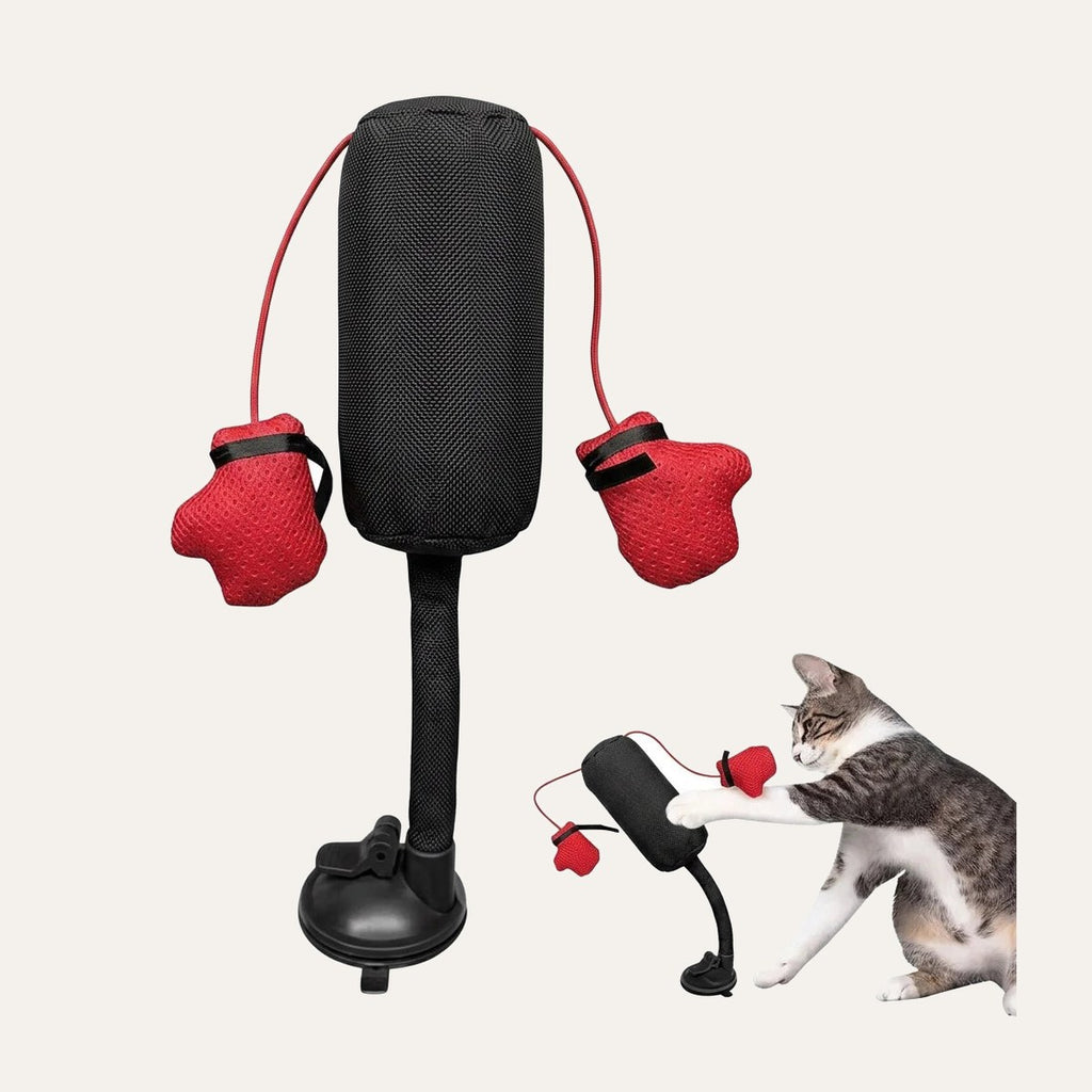 Cat Punch Bag