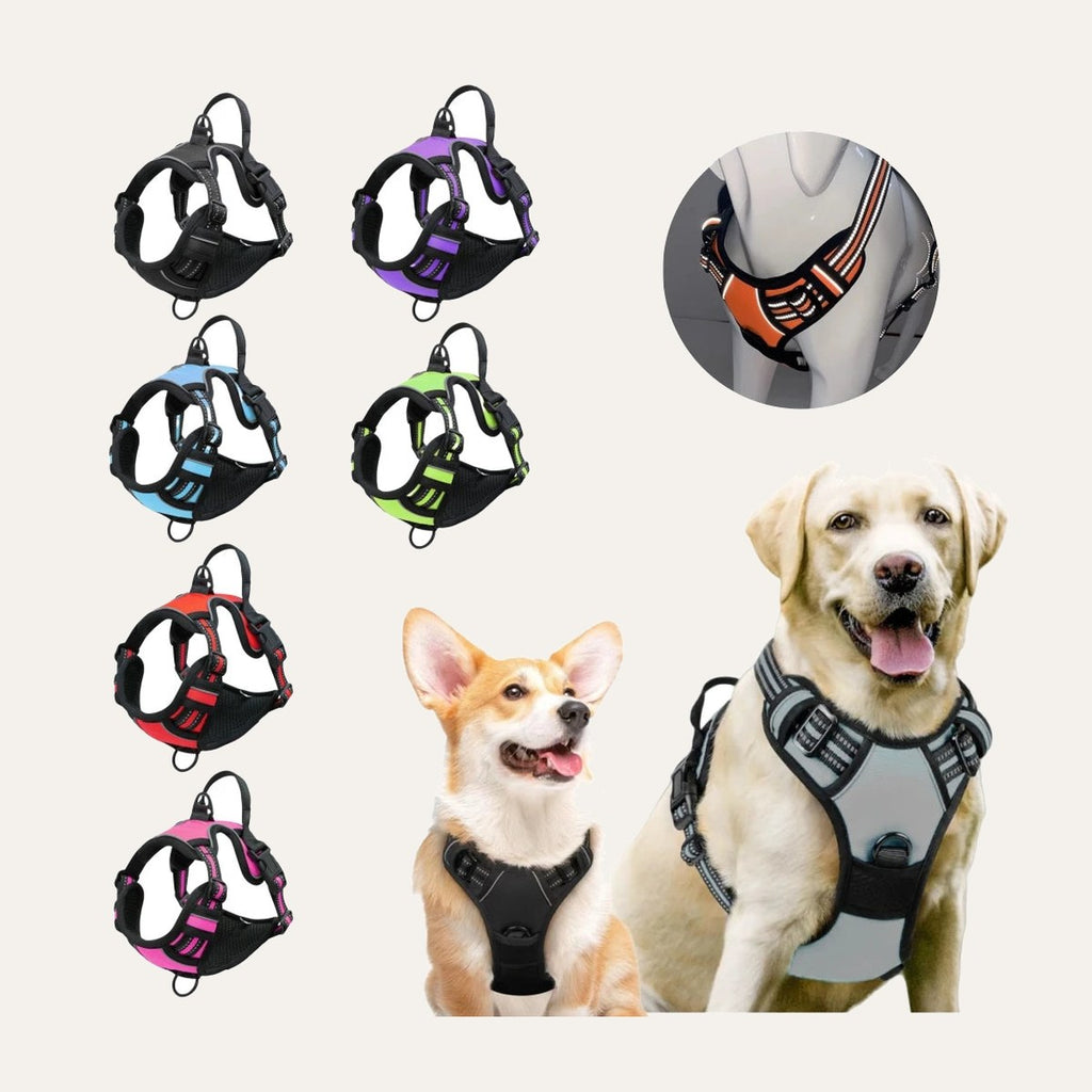 Heavy Duty Harness