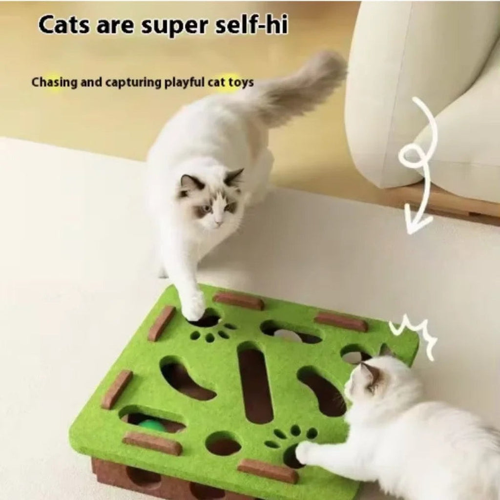 Puzzle Box