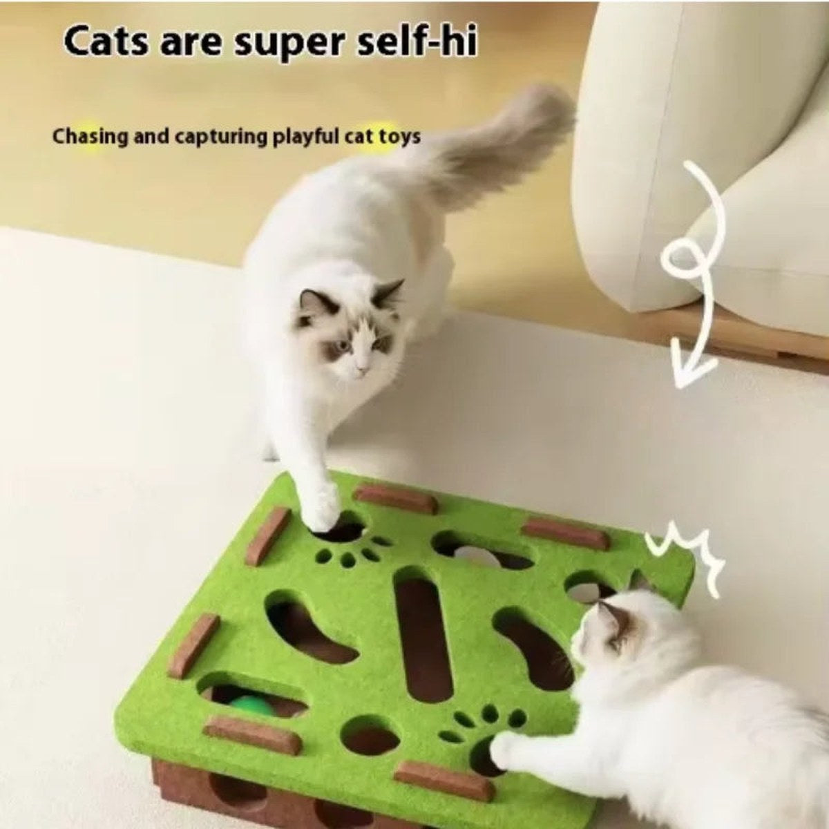 Puzzle Box