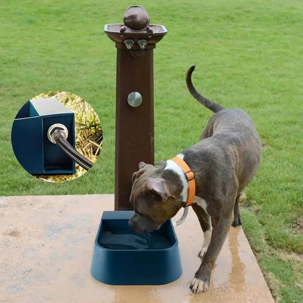 Auto Water Bowl