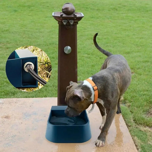 Auto Water Bowl