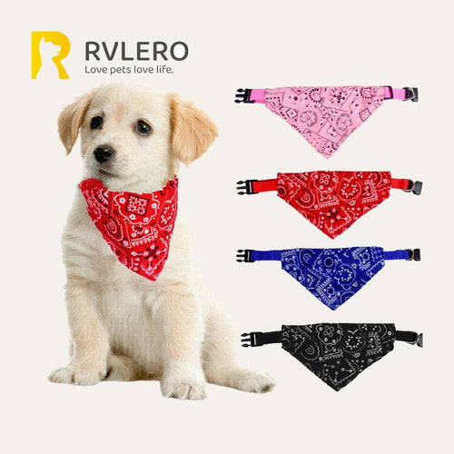 Bandana
