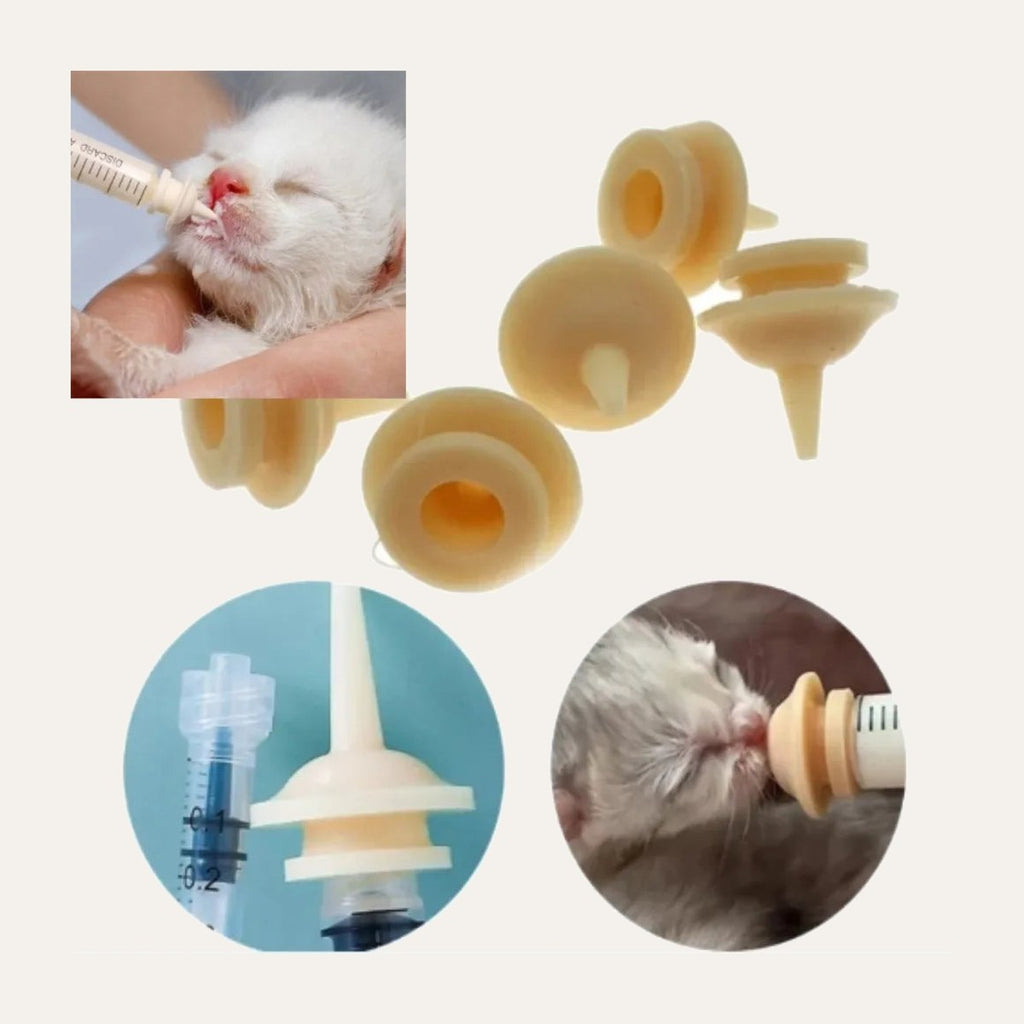 Feeding Syringe