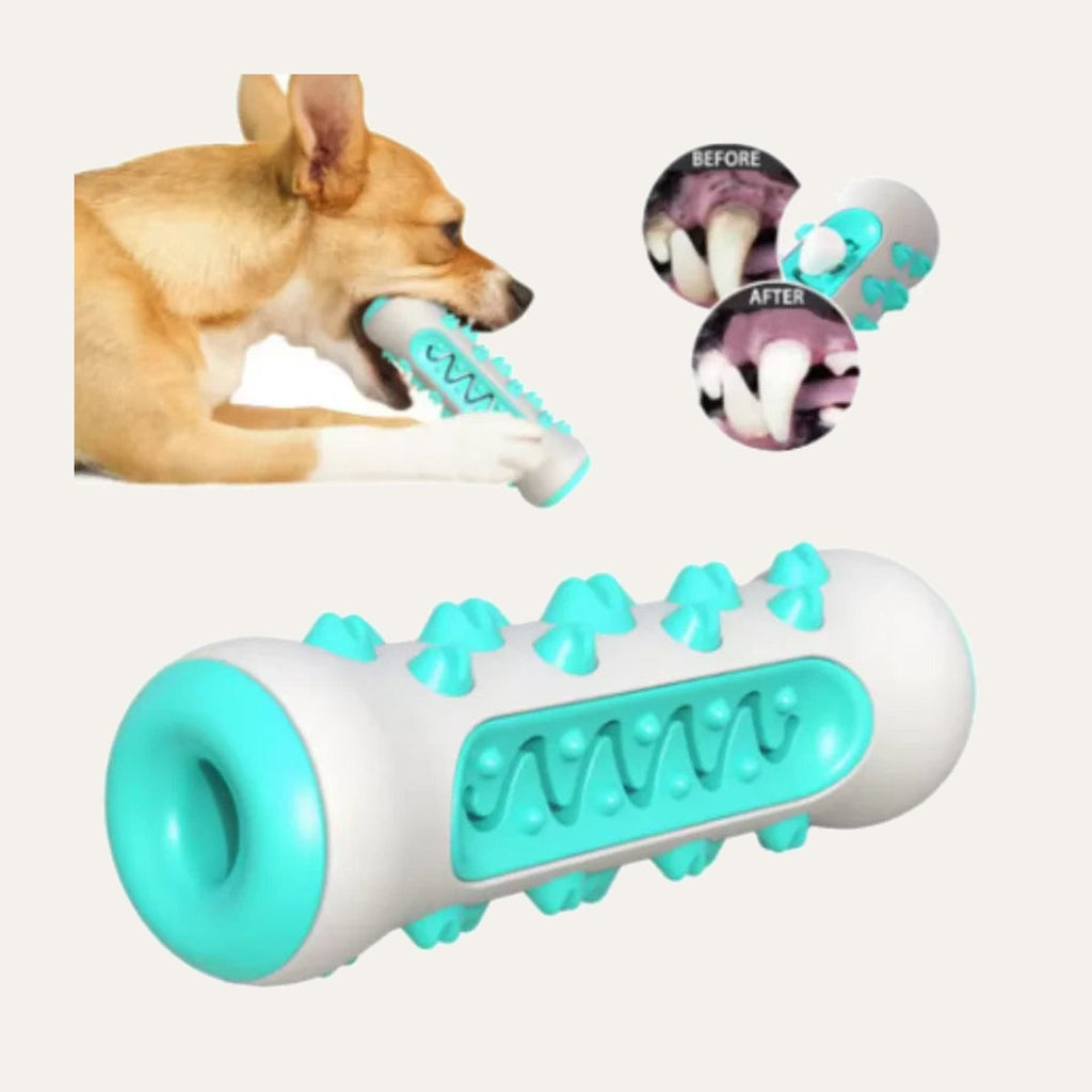 Dental Chew Brush