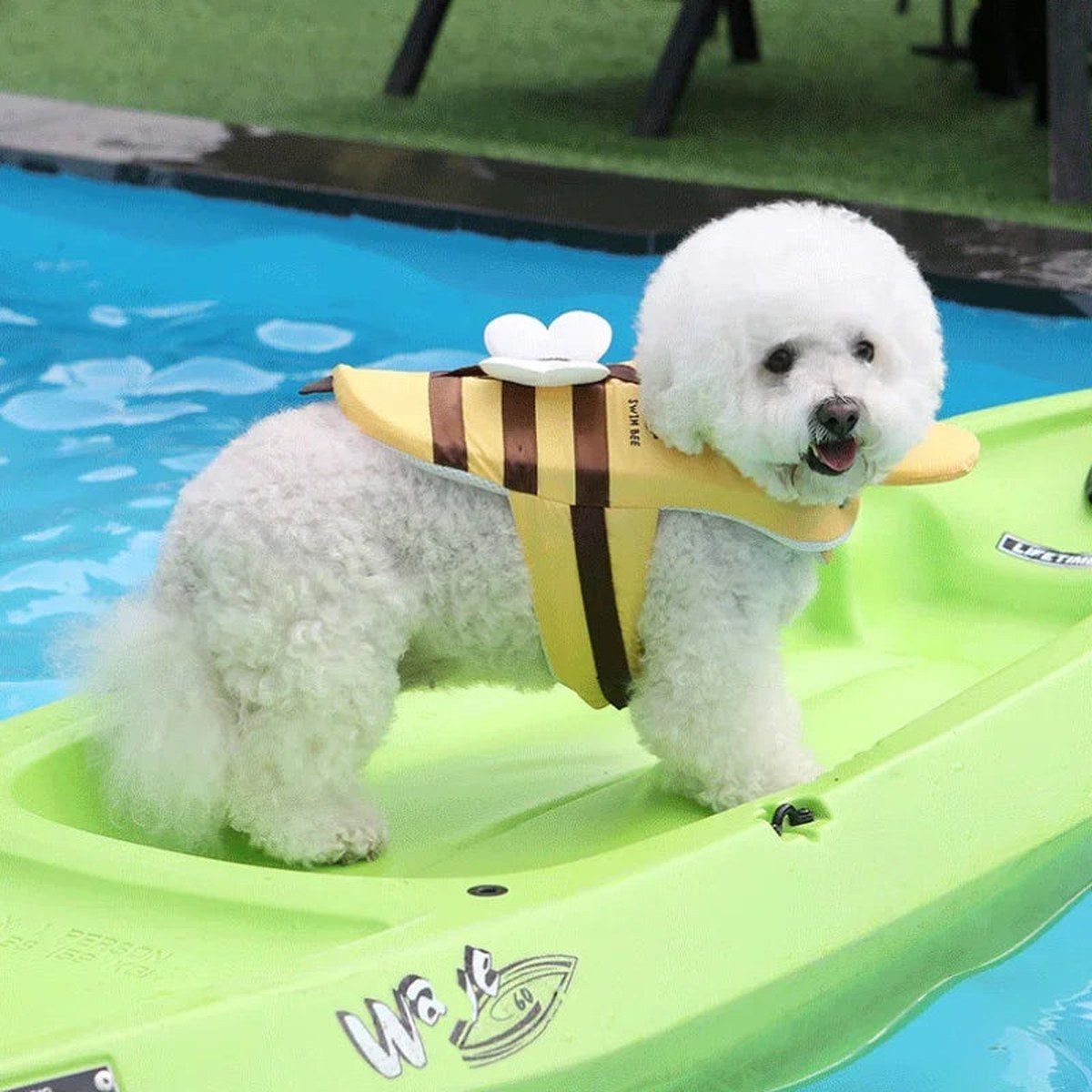 Life Jacket