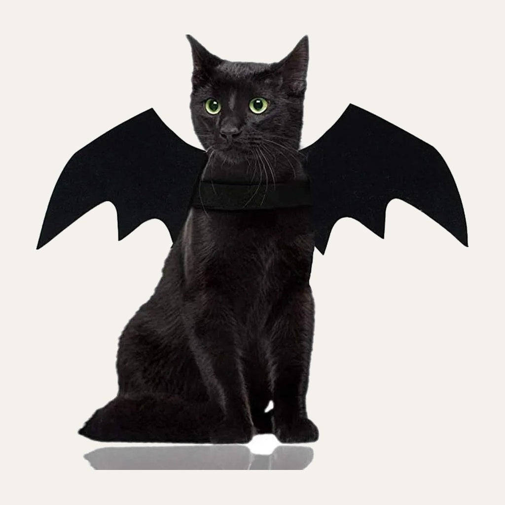 Bat Wings
