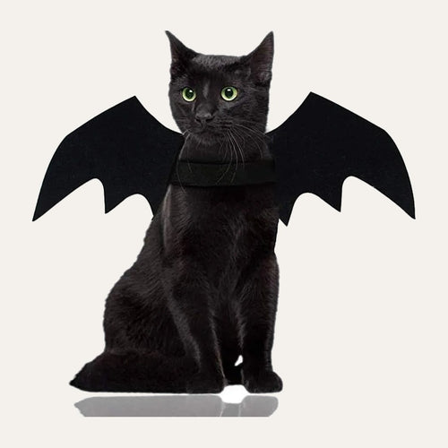 Bat Wings